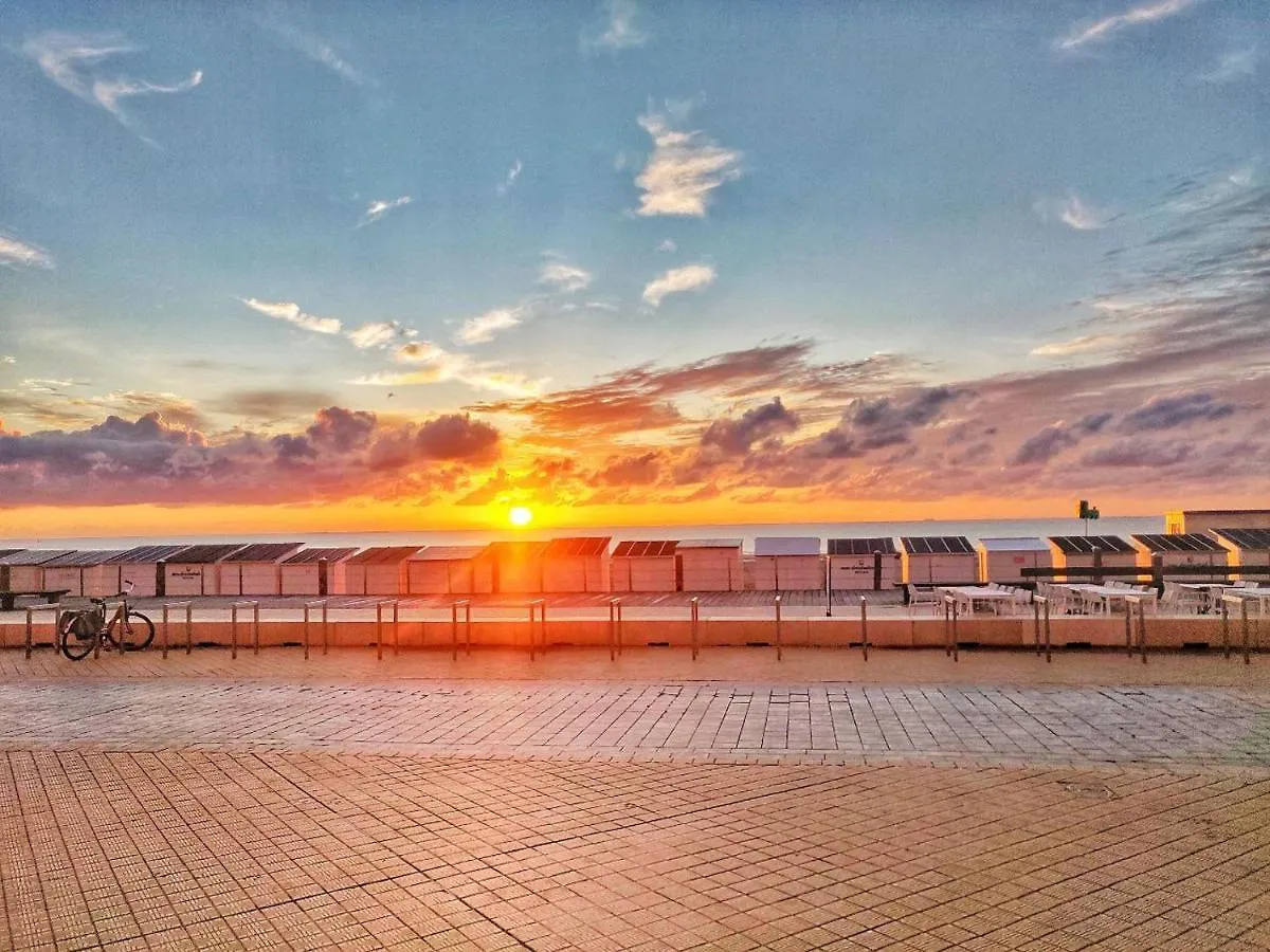 The Beach Surf Studio Ostende Belgie